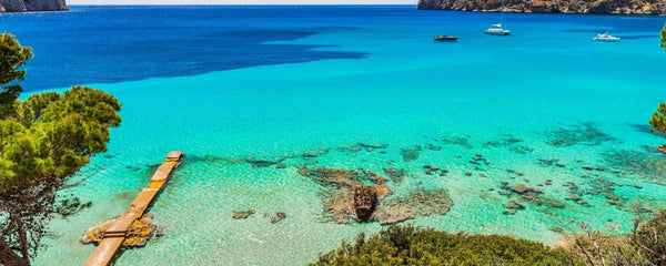 Serotonin Scents - Sniff Your Way to Summer Happiness