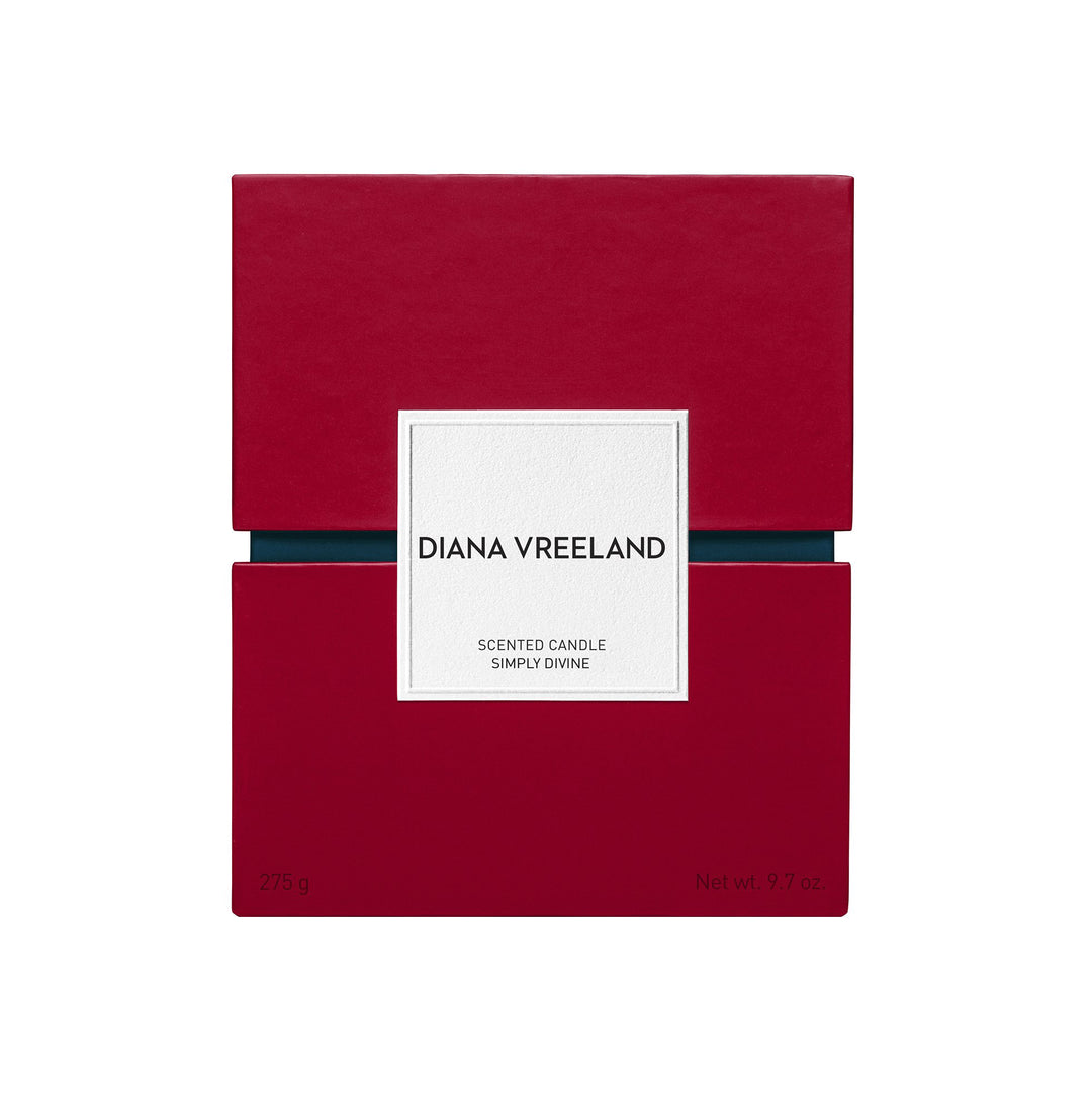 DIANA VREELAND ダイアナヴリーランド SIMPLY DIVINE Simply divine | coffeewithbooks